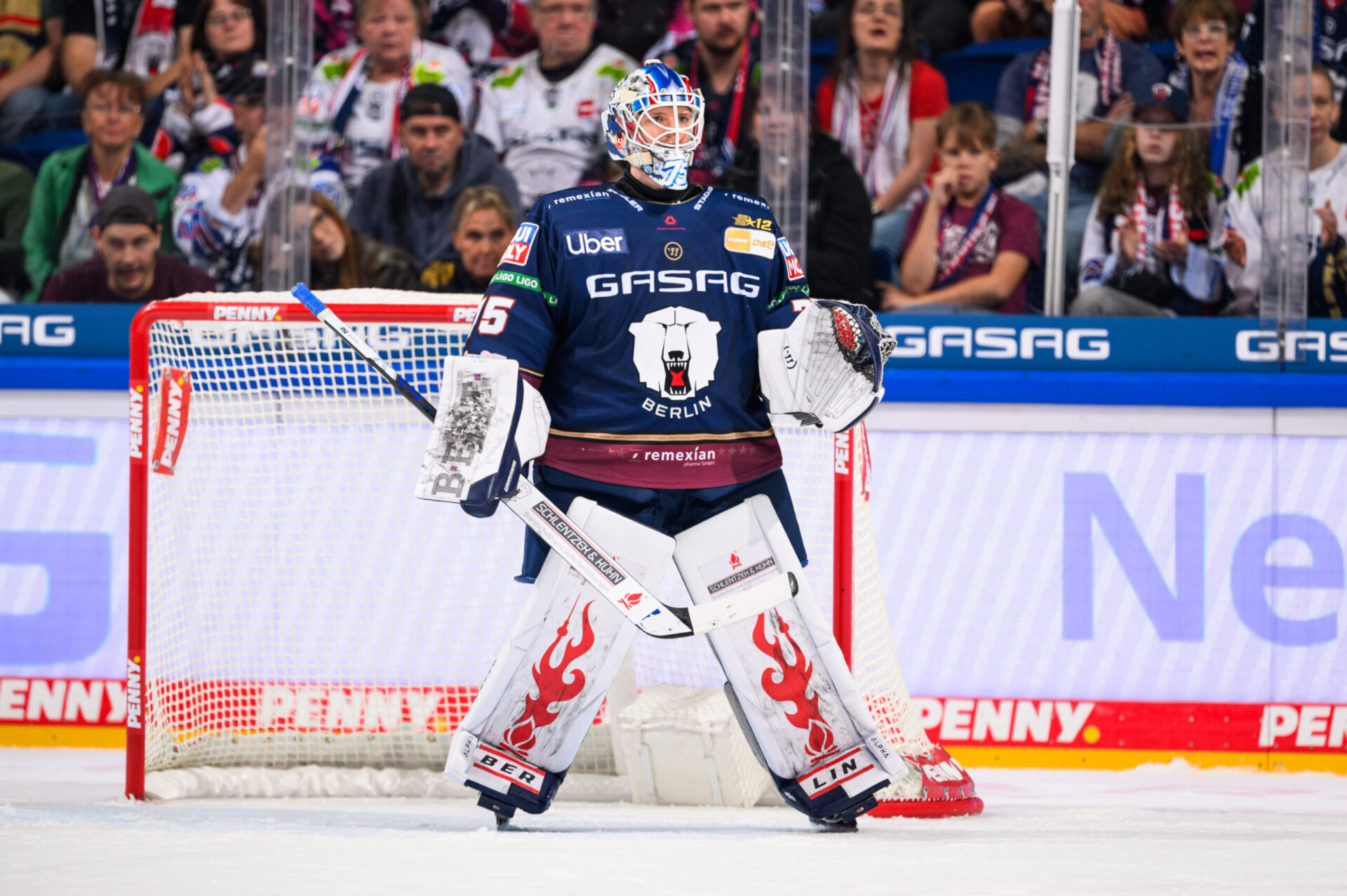 eisbaerlin.de-Blog